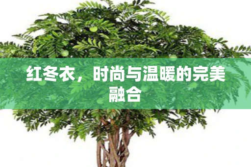 红冬衣,时尚与温暖的完美融合 红冬衣,时尚与温暖的完美融合