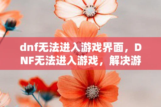 dnf无法进入游戏界面，DNF无法进入游戏，解决游戏启动问题的全面指南