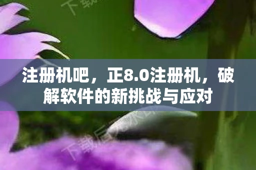 注册机吧，正8.0注册机，破解软件的新挑战与应对