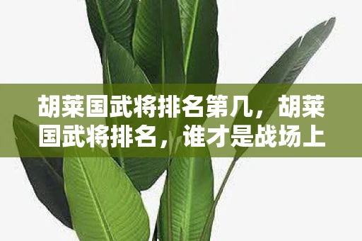 胡莱国武将排名第几，胡莱国武将排名，谁才是战场上的霸主？
