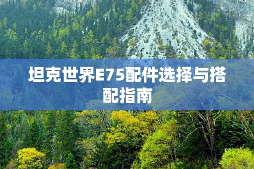 坦克世界E75配件选择与搭配指南 坦克世界E75配件选择与搭配指南