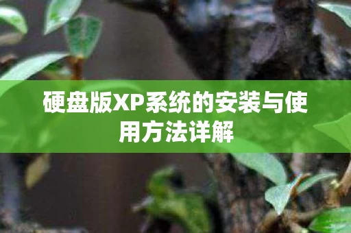 硬盘版XP系统的安装与使用方法详解图片