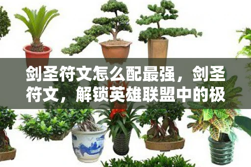 剑圣符文怎么配最强，剑圣符文，解锁英雄联盟中的极致速度