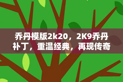 乔丹模版2k20,2K9乔丹补丁,重温经典,再现传奇 乔丹模版2k20,2K9乔丹补丁,重温经典,再现传奇