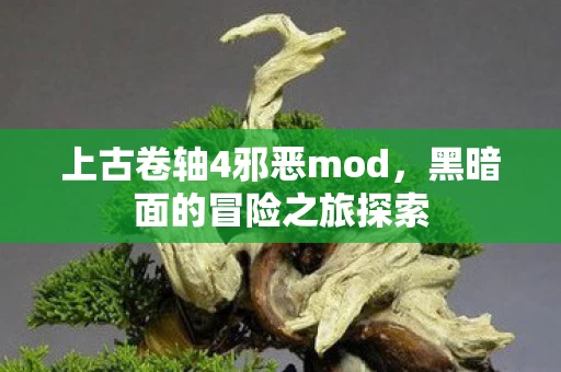 上古卷轴4邪恶mod图片