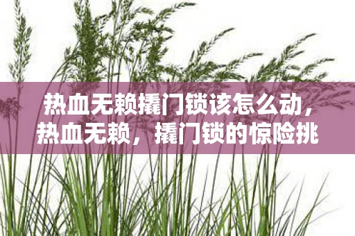 热血无赖撬门锁该怎么动,热血无赖,撬门锁的惊险挑战 热血无赖撬门锁该怎么动,热血无赖,撬门锁的惊险挑战