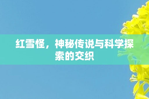 红雪怪,神秘传说与科学探索的交织 红雪怪,神秘传说与科学探索的交织