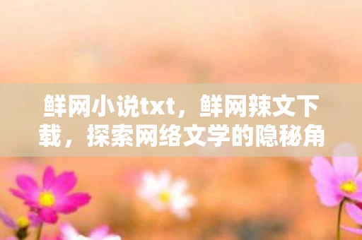鲜网小说txt，鲜网辣文下载，探索网络文学的隐秘角落