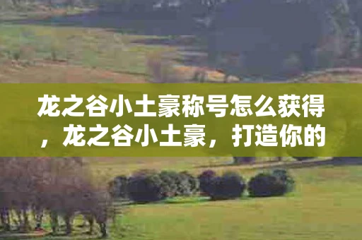 龙之谷小土豪称号怎么获得，龙之谷小土豪，打造你的游戏帝国