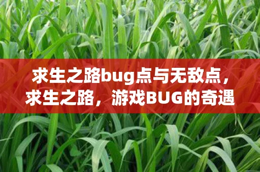 求生之路bug点与无敌点,求生之路,游戏BUG的奇遇与解决之道 求生之路bug点与无敌点,求生之路,游戏BUG的奇遇与解决之道