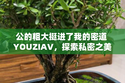 公的粗大挺进了我的密道 YOUZIAV，探索私密之美的边界，公与私的微妙交织