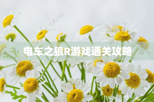 电车之狼R游戏通关攻略图片