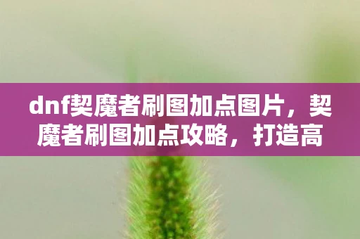 dnf契魔者刷图加点图片，契魔者刷图加点攻略，打造高效刷图体验