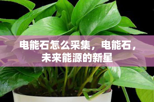 电能石怎么采集，电能石，未来能源的新星