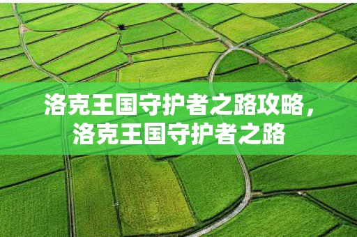 洛克王国守护者之路攻略，洛克王国守护者之路