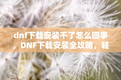 dnf下载安装不了怎么回事,DNF下载安装全攻略,轻松上手,畅游地下城! dnf下载安装不了怎么回事,DNF下载安装全攻略,轻松上手,畅游地下城!