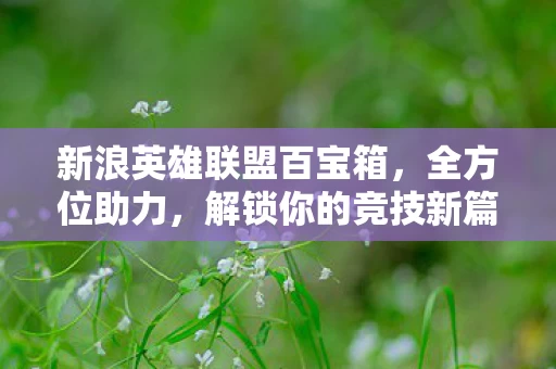 新浪英雄联盟百宝箱图片