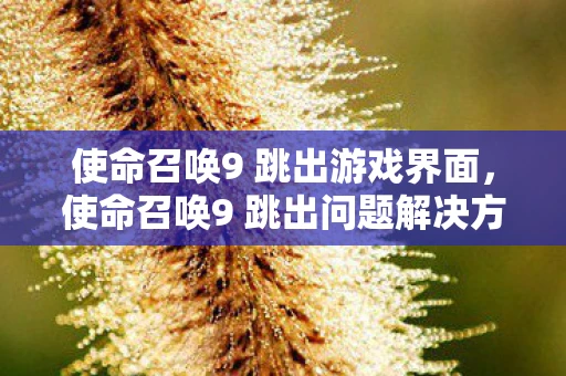 使命召唤9 跳出游戏界面，使命召唤9 跳出问题解决方案