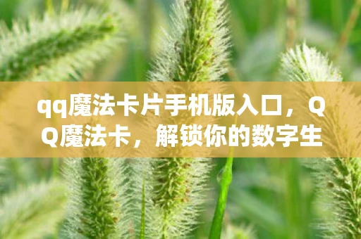 qq魔法卡片手机版入口，QQ魔法卡，解锁你的数字生活新体验