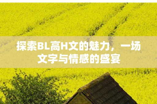 探索BL高H文的魅力，一场文字与情感的盛宴