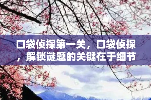 口袋侦探第一关,口袋侦探,解锁谜题的关键在于细节 口袋侦探第一关,口袋侦探,解锁谜题的关键在于细节