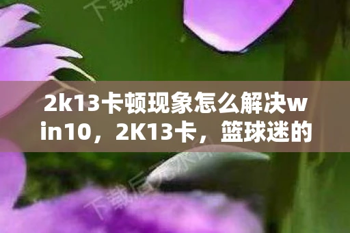 2k13卡顿现象怎么解决win10，2K13卡，篮球迷的终极收藏品