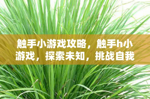 触手小游戏攻略,触手h小游戏,探索未知,挑战自我 触手小游戏攻略,触手h小游戏,探索未知,挑战自我