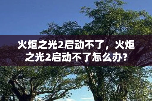 火炬之光2启动不了，火炬之光2启动不了怎么办？