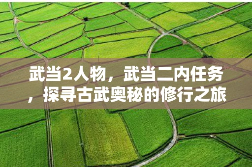 武当2人物，武当二内任务，探寻古武奥秘的修行之旅