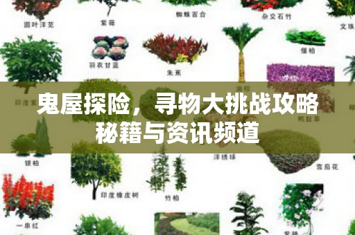 寻物大挑战攻略秘籍与资讯频道图片