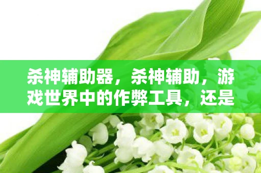 杀神辅助器，杀神辅助，游戏世界中的作弊工具，还是玩家的智慧结晶？