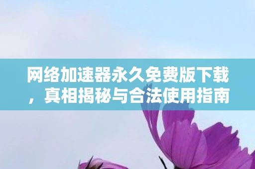 网络加速器永久免费版下载，真相揭秘与合法使用指南