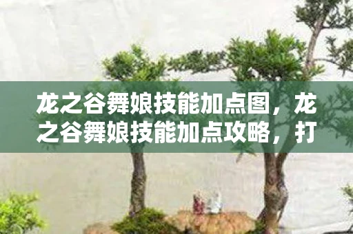 龙之谷舞娘技能加点图,龙之谷舞娘技能加点攻略,打造你的专属舞蹈传奇 龙之谷舞娘技能加点图,龙之谷舞娘技能加点攻略,打造你的专属舞蹈传奇