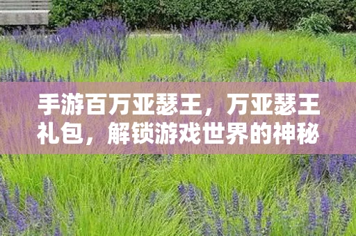 手游百万亚瑟王,万亚瑟王礼包,解锁游戏世界的神秘钥匙 手游百万亚瑟王,万亚瑟王礼包,解锁游戏世界的神秘钥匙