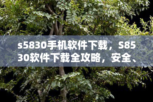 s5830手机软件下载，S8530软件下载全攻略，安全、高效获取官方资源