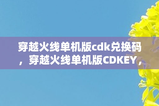 穿越火线单机版cdk兑换码,穿越火线单机版CDKEY,重温经典,无需联网的射击盛宴 穿越火线单机版cdk兑换码,穿越火线单机版CDKEY,重温经典,无需联网的射击盛宴