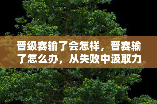 晋级赛输了会怎样,晋赛输了怎么办,从失败中汲取力量,重新出发 晋级赛输了会怎样,晋赛输了怎么办,从失败中汲取力量,重新出发