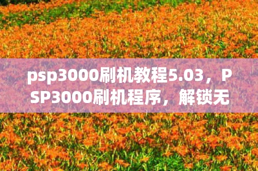 psp3000刷机教程5.03，PSP3000刷机程序，解锁无限可能的秘籍