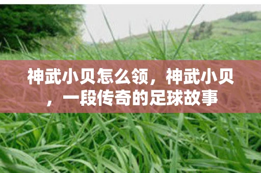 神武小贝怎么领，神武小贝，一段传奇的足球故事