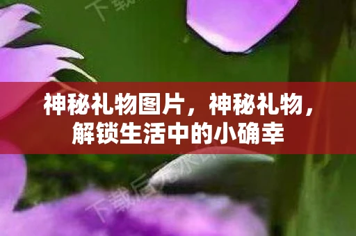 神秘礼物图片，神秘礼物，解锁生活中的小确幸
