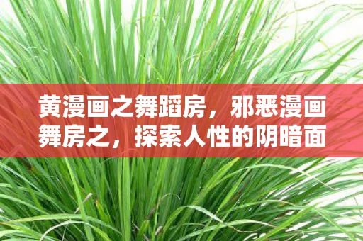 黄漫画之舞蹈房,邪恶漫画舞房之,探索人性的阴暗面 黄漫画之舞蹈房,邪恶漫画舞房之,探索人性的阴暗面