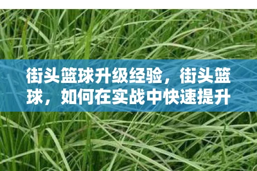 街头篮球升级经验,街头篮球,如何在实战中快速提升经验 街头篮球升级经验,街头篮球,如何在实战中快速提升经验