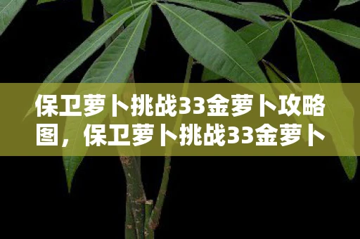 保卫萝卜挑战33金萝卜攻略图，保卫萝卜挑战33金萝卜攻略