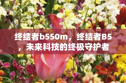 终结者b550m，终结者B5，未来科技的终极守护者