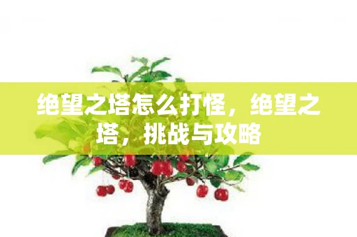 绝望之塔怎么打怪，绝望之塔，挑战与攻略