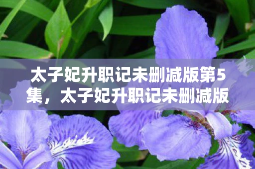 太子妃升职记未删减版第5集，太子妃升职记未删减版，一段跨越时空的宫廷奇缘