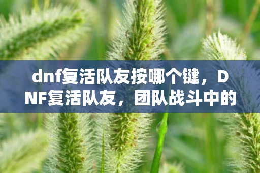 dnf复活队友按哪个键，DNF复活队友，团队战斗中的关键技能解析