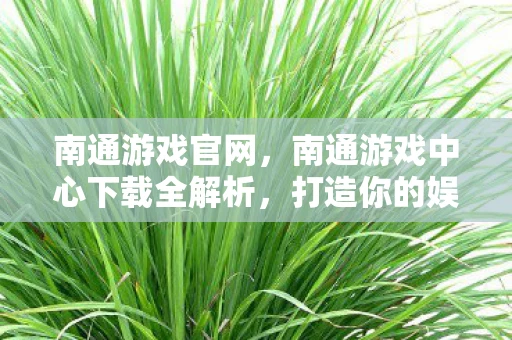 南通游戏官网,南通游戏中心下载全解析,打造你的娱乐新领地 南通游戏官网,南通游戏中心下载全解析,打造你的娱乐新领地