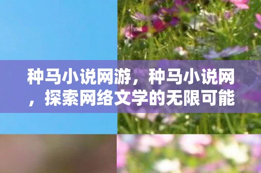 种马小说网游，种马小说网，探索网络文学的无限可能