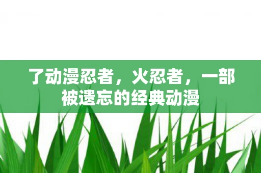 了动漫忍者，火忍者，一部被遗忘的经典动漫